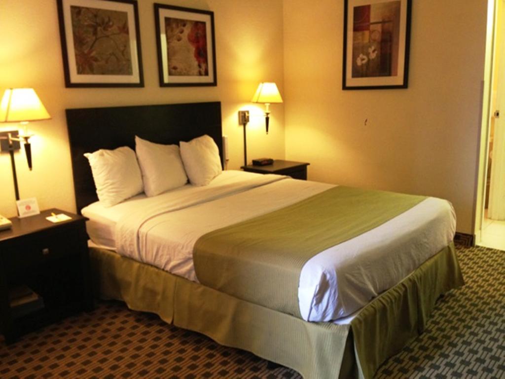 Days Inn By Wyndham Irving Grapevine Dfw Airport North Стая снимка